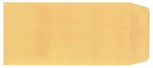 Blank License Plate Envelopes - Moist & Seal (100 Per Box)