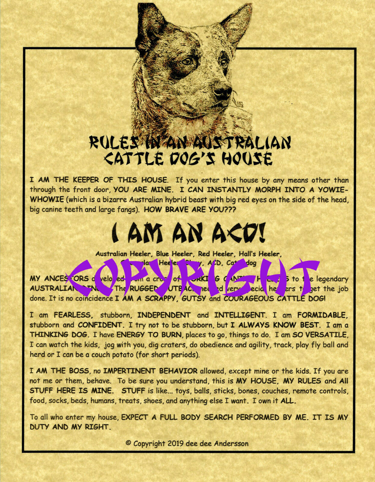 Rules In An Australian Cattle Dog's House