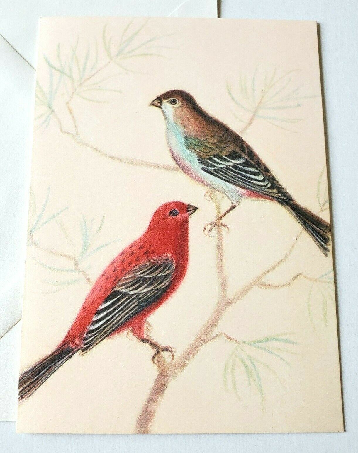 Vintage Greeting Card Blank Note Card With Pine Grosbeak Birds